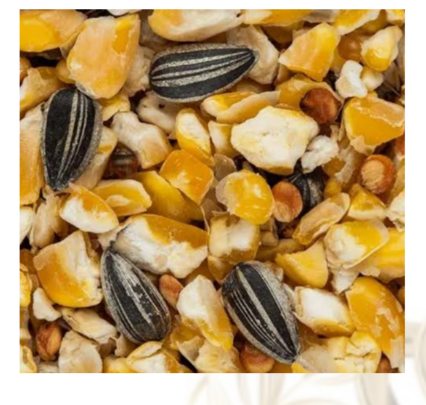 Mixed Fowl 2kg - Juicy Pet Supplies