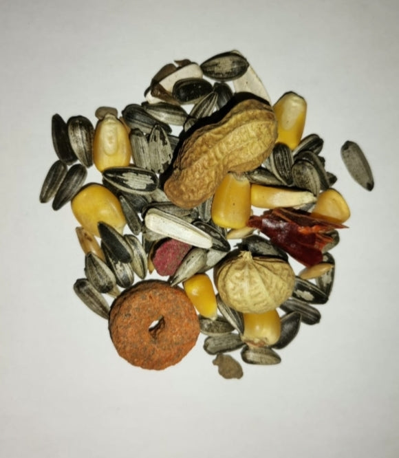 Mixed Parrot 1kg - Juicy Pet Supplies