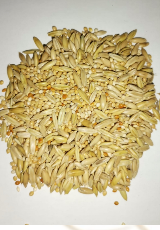 Mixed Budgie 1kg - Juicy Pet Supplies