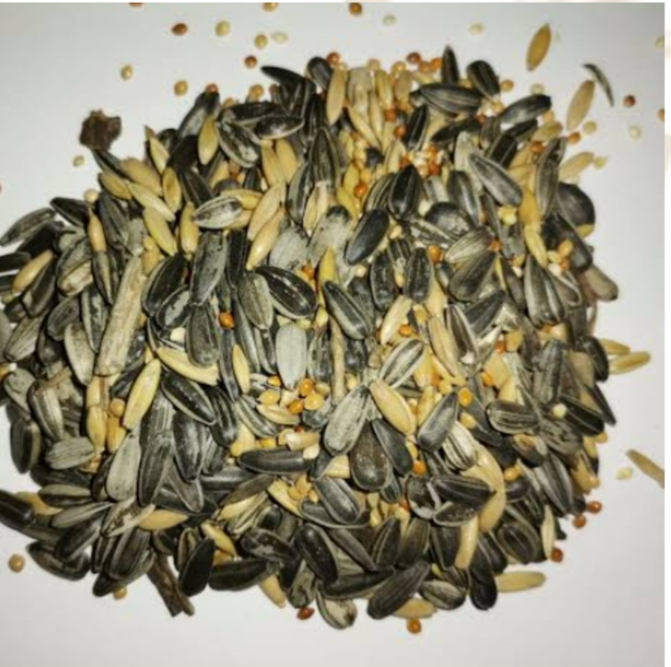 Mixed Cockatiel 1kg - Juicy Pet Supplies