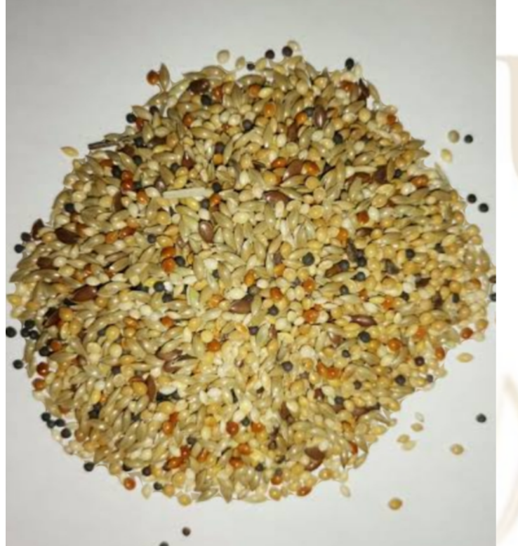 Mixed Canary 1kg - Juicy Pet Supplies