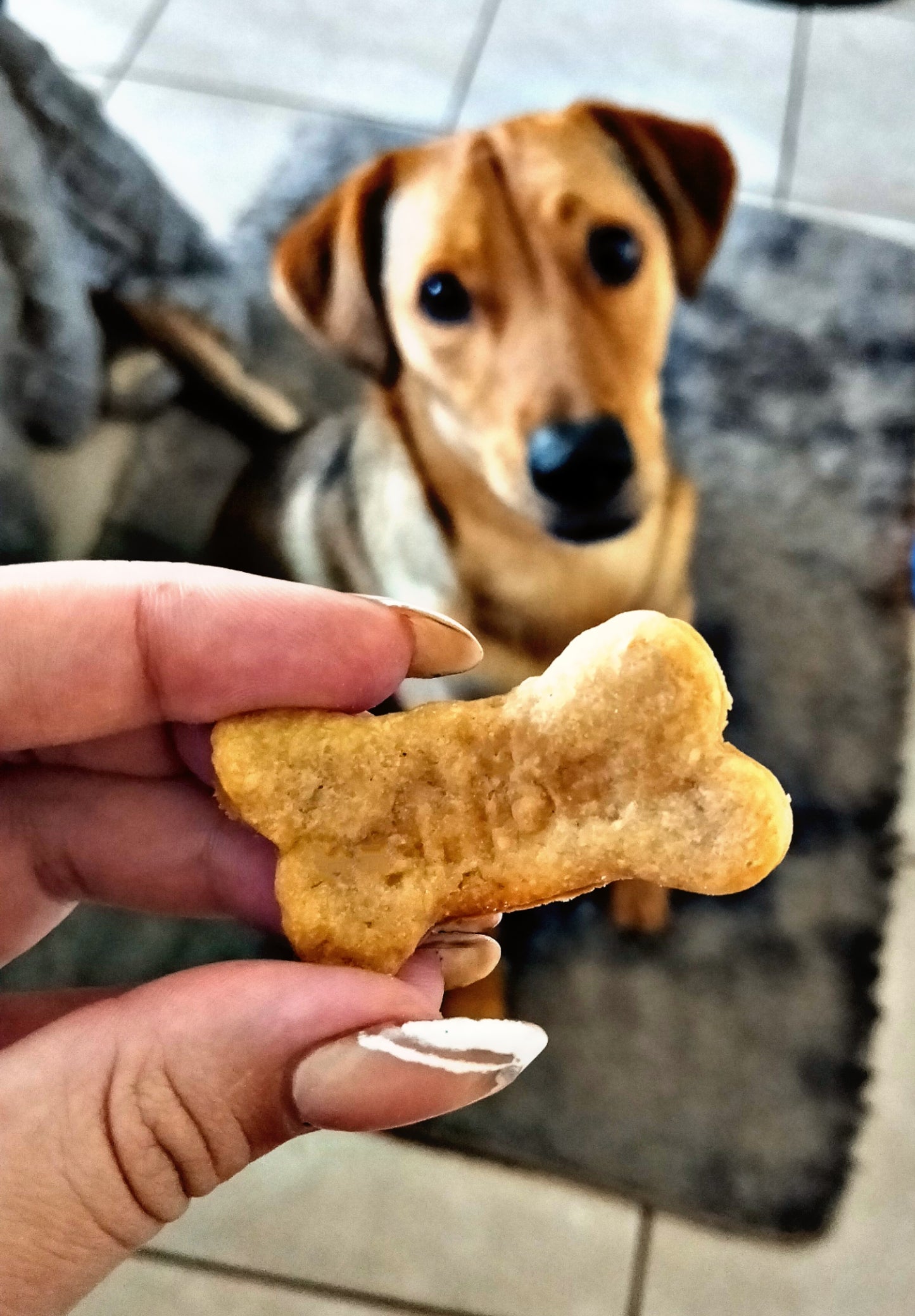 Pawsome Cravings - Home-Made Peanut Butter Biscuits