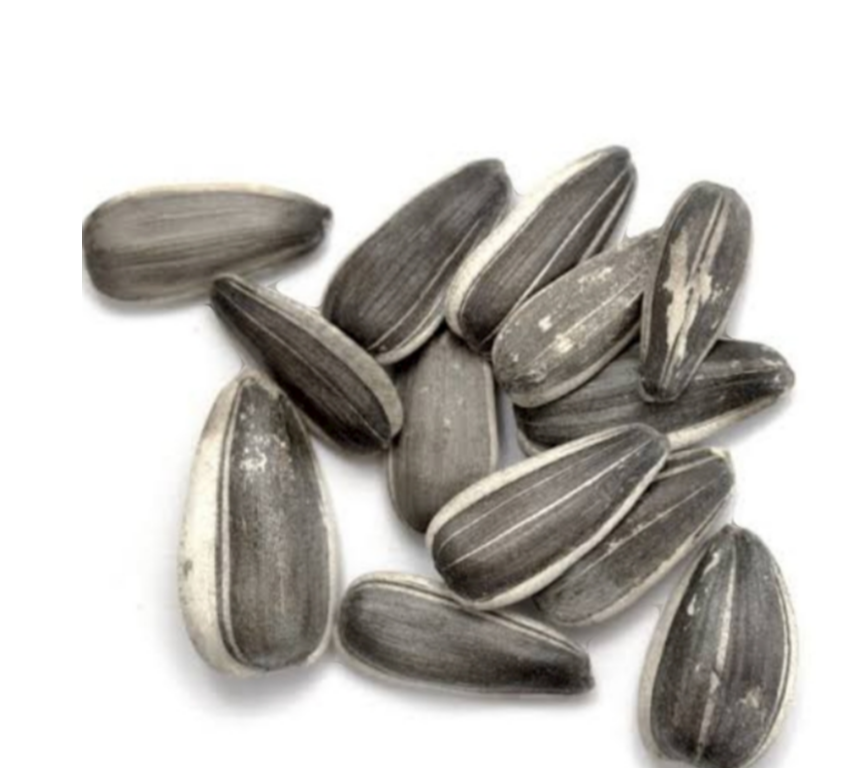 Stripped Sunflower 5kg - Juicy Pet Supplies