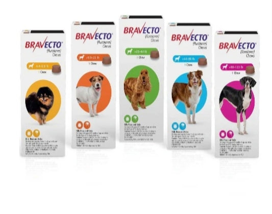 Bravecto Dog (Medium)